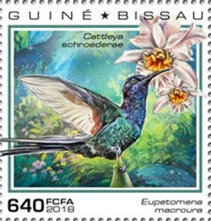 Гвинея-Бисау - Guinea Bissau 2018
