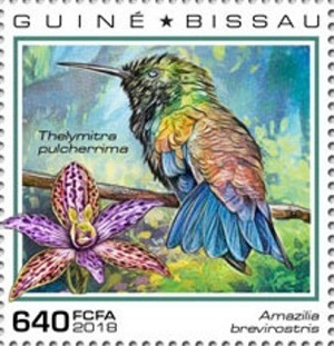 Гвинея-Бисау - Guinea Bissau 2018