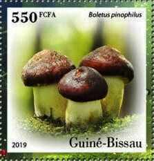 Гвинея-Бисау - Guinea Bissau (2019)