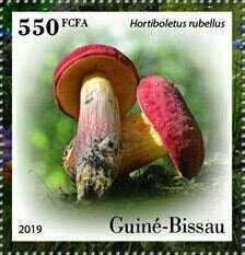 Гвинея-Бисау - Guinea Bissau 2019