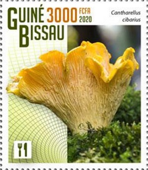 Гвинея-Бисау - Guinea Bissau (2020)