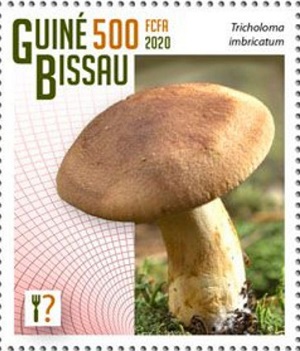 Гвинея-Бисау - Guinea Bissau (2020)
