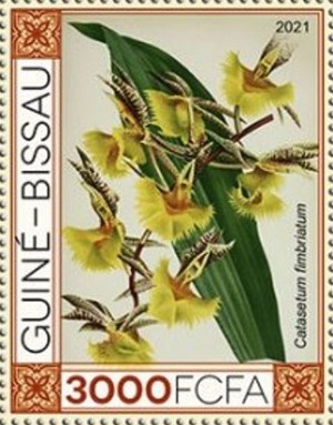 Гвинея-Бисау - Guinea Bissau (2021)