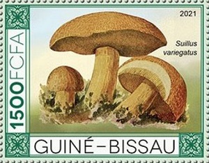 Гвинея-Бисау - Guinea Bissau 2021