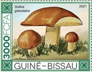 Гвинея-Бисау - Guinea Bissau 2021