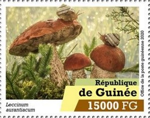 Guinea 2020