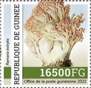 Гвинея - Guinea (2022)