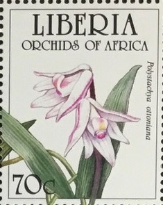 Liberia 1995