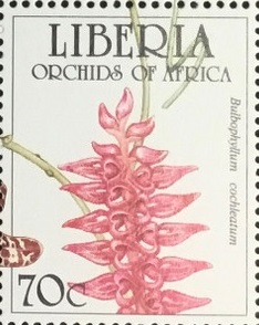 Liberia 1995