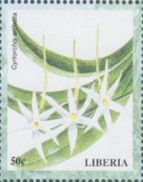 Либерия - Liberia (1999)