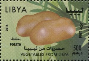 Libya 2014