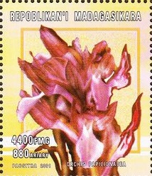 Мадагаскар - Madagascar (2001)