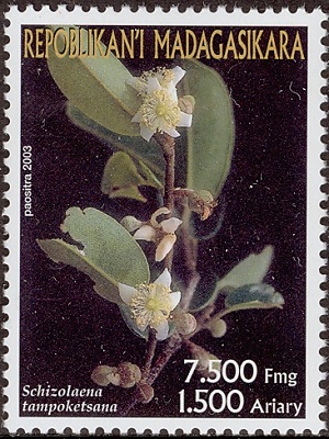 Madagascar 2003