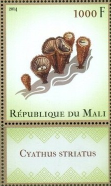 Мали - Mali (2014)