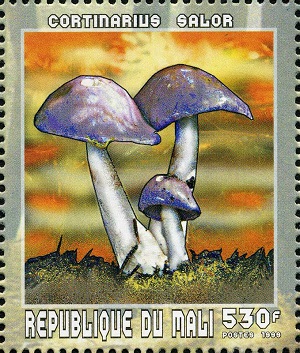 Mali 1999