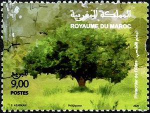 Марокко - Morocco (2020)