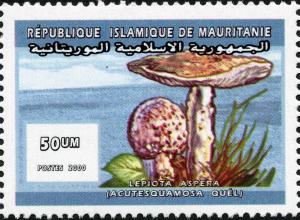 Mauritania 2000