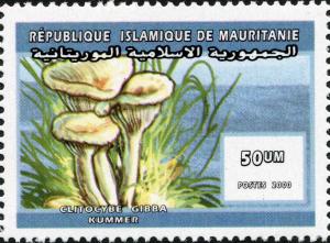 Mauretania 2000