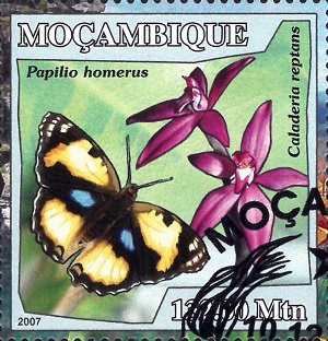 Мозамбик - Mozambique (2007)