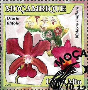 Мозамбик - Mozambique 2007