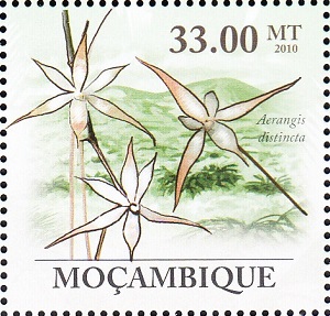 Mozambique 2010