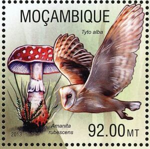 Мозамбик - Mozambique (2013)