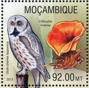 Мозамбик - Mozambique (2013)