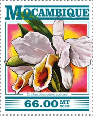 Мозамбик - Mozambique 2015