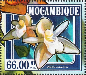 Mozambique 2015