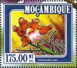 Mozambique 2015
