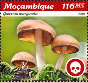 Mozambique 2019