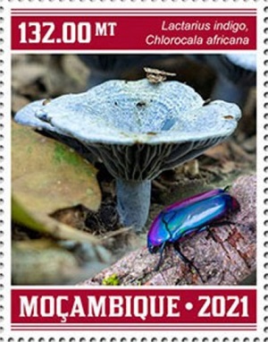 Мозамбик - Mozambique (2021)