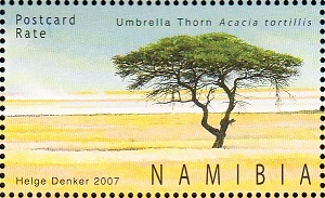 Намибия - Namibia (2007)