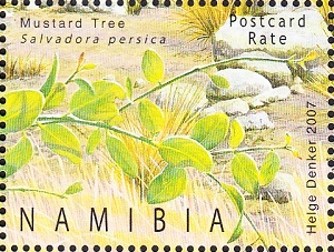 Намибия - Namibia (2007)