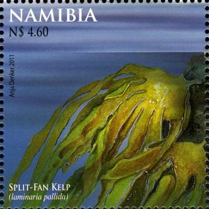 Namibia 2011