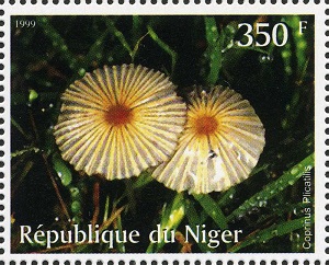 Niger 1999