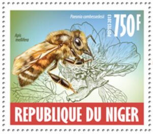 Нигер - Niger (2013)
