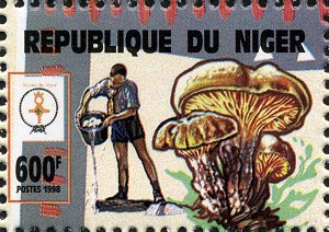 Niger 1998