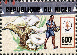 Niger 1998