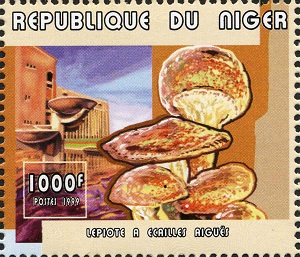 Niger 1999