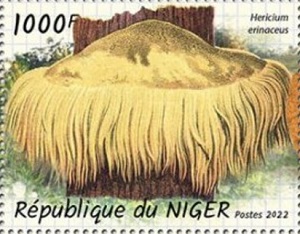 Нигер - Niger (2022)