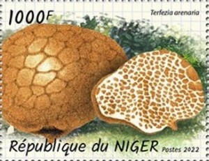 Нигер - Niger (2022)