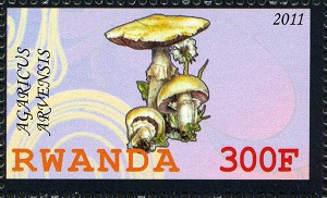 Rwanda 2011
