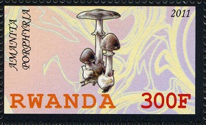 Rwanda 2011