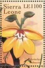 Сьерра-Леоне - Sierra Leone (2000