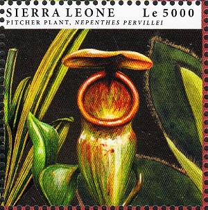 Сьерра-Леоне - Sierra Leone 2012