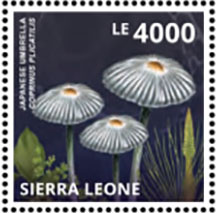 Сьерра-Леоне - Sierra Leone2013