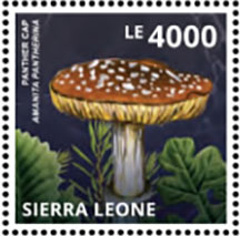 Сьерра-Леоне - Sierra Leone2013