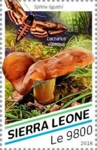 Сьерра-Леоне - Sierra Leone 2018