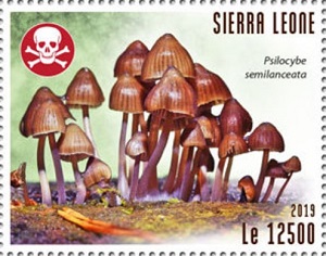 Сьерра-Леоне - Sierra Leone (2019)